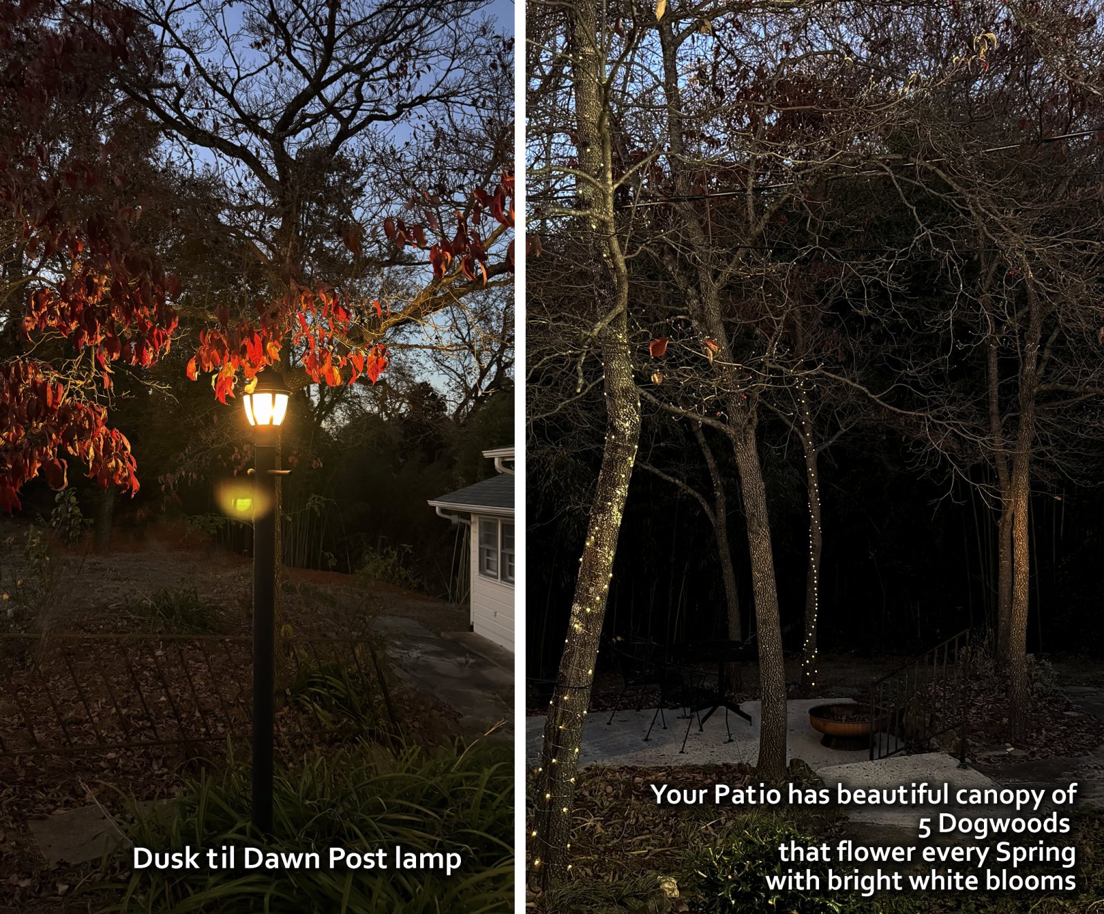 Treetop Mid Century Cottage - peaceful retreat, 1 mile from CaroMont Belmont Hospital, I-85 (Exit 27), and Tailrace Marina at the Catawba River